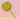 Candy Flower – Spiral Pop Toy with Rainbow Layers for Kids